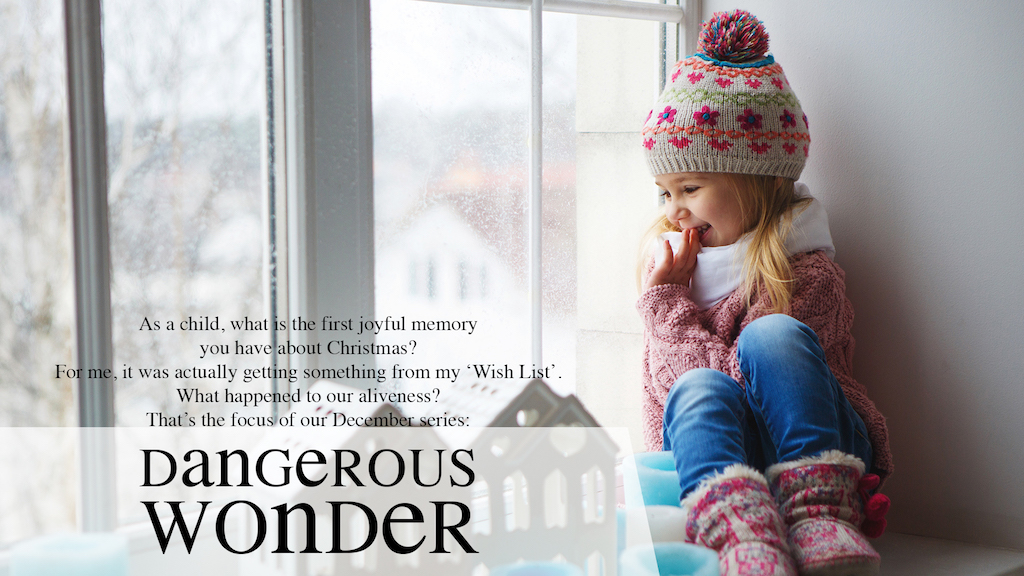 Dangerous Wonder - Blog